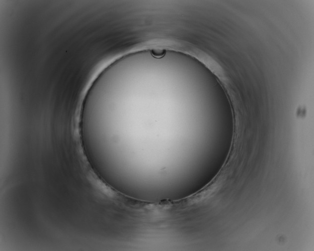 X0000103500912200809121735