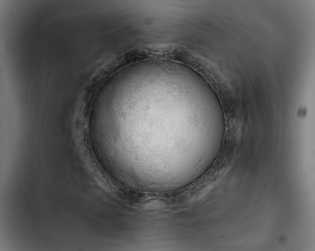 X0000103500913200809121735