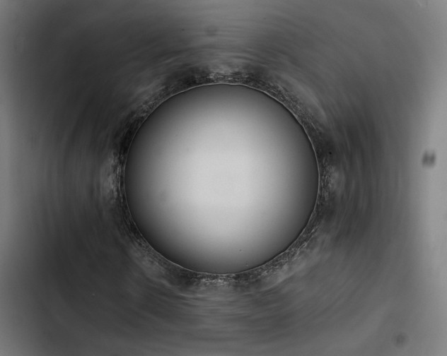 X0000103500914200809121735