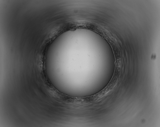 X0000103500916200809121735