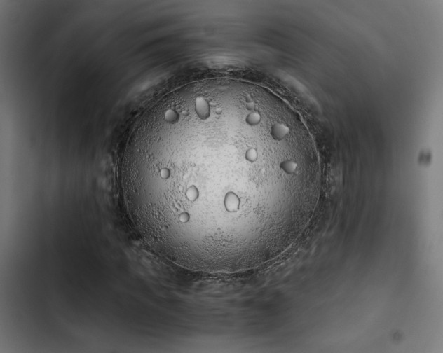 X0000103500917200809121735