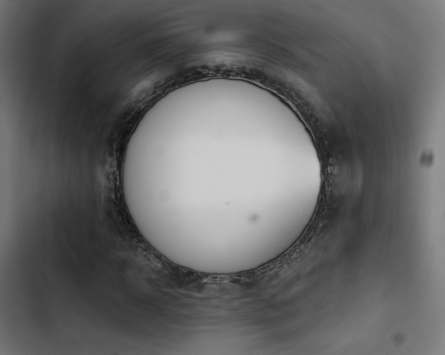 X0000103500918200809121735