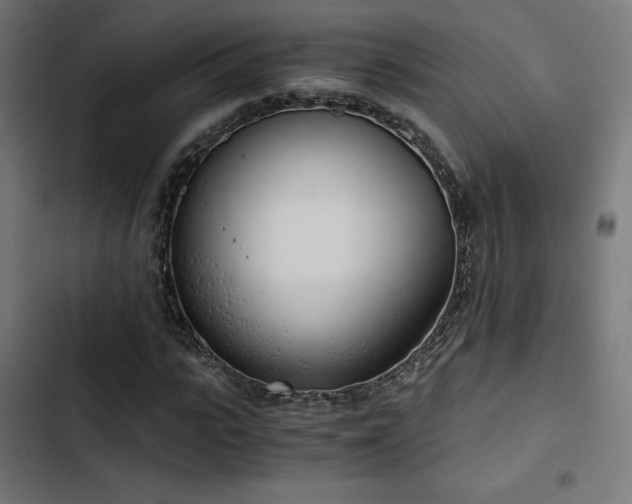 X0000103500919200809121735