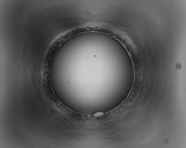 X0000103500920200809121735