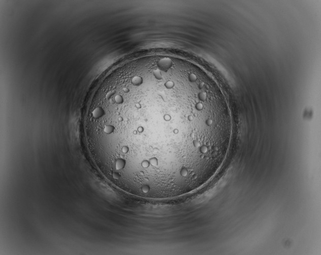 X0000103500921200809121735