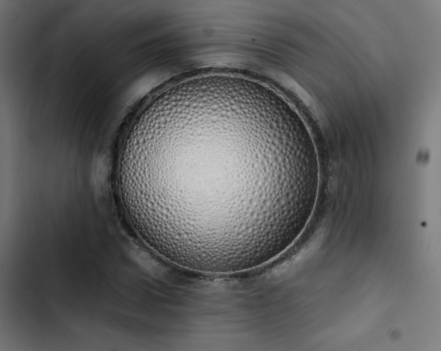 X0000103500922200809121735