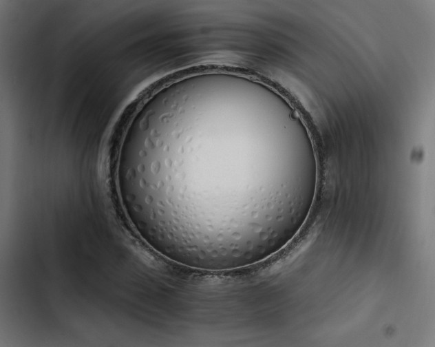 X0000103500923200809121735