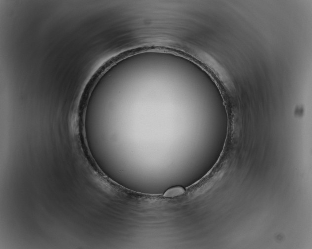 X0000103500924200809121735