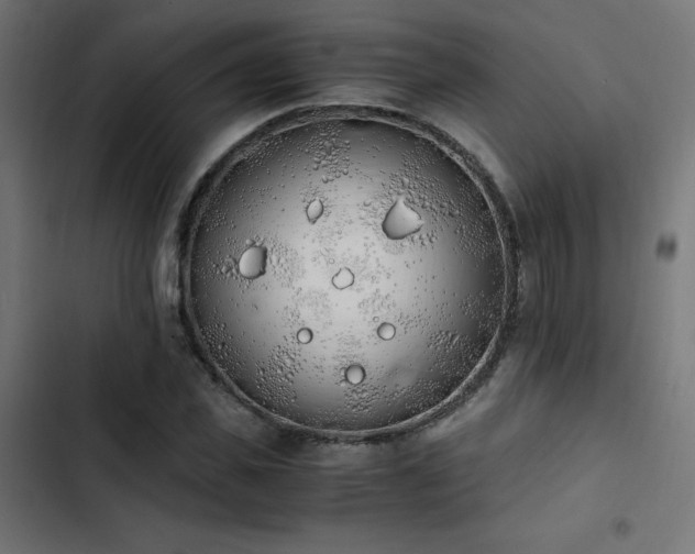 X0000103500925200809121735