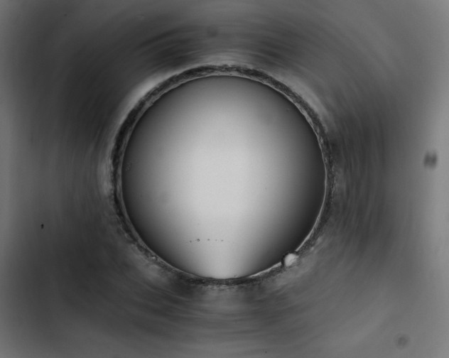 X0000103500927200809121735