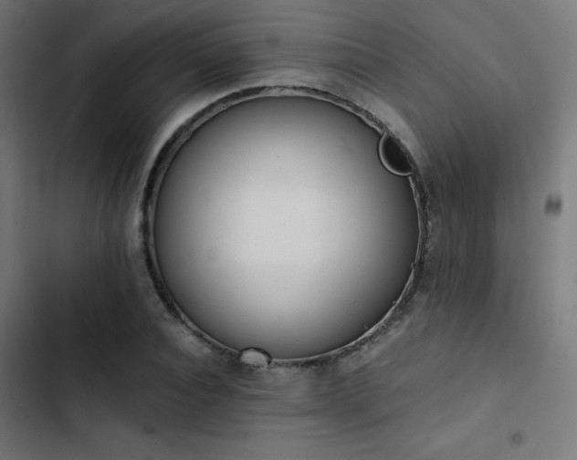 X0000103500928200809121735