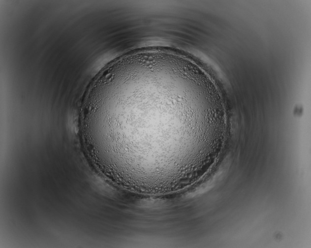 X0000103500929200809121735