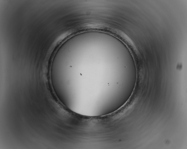 X0000103500930200809121735