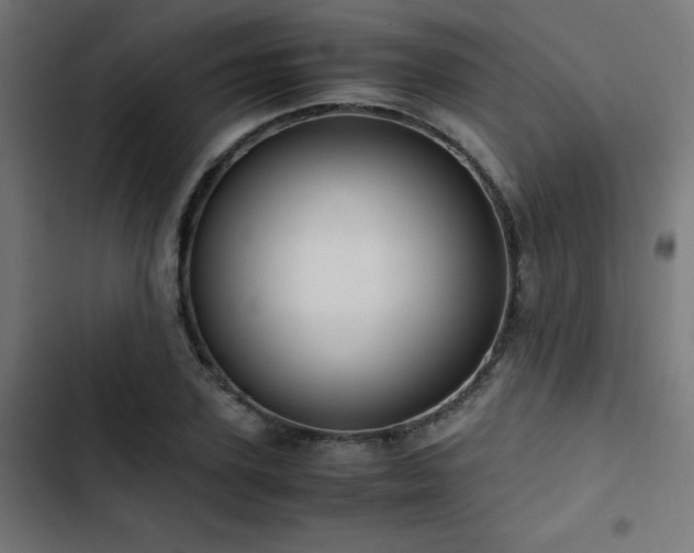 X0000103500931200809121735