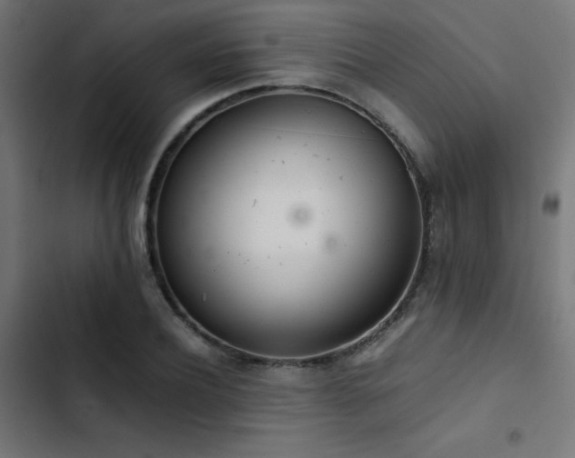 X0000103500932200809121735