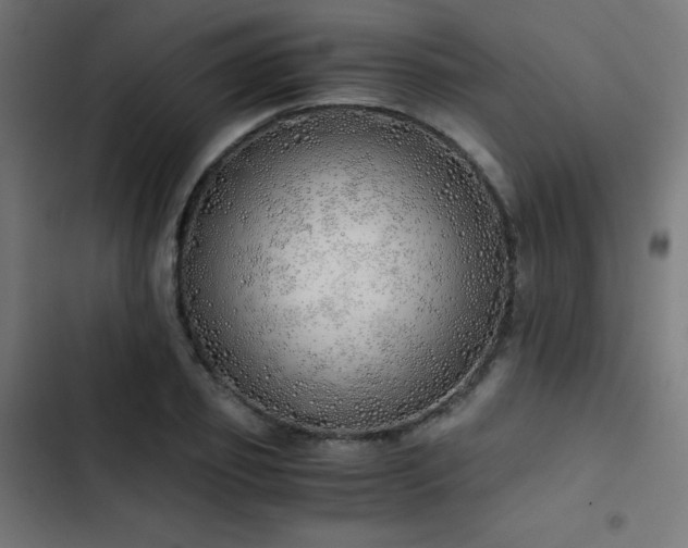 X0000103500933200809121735