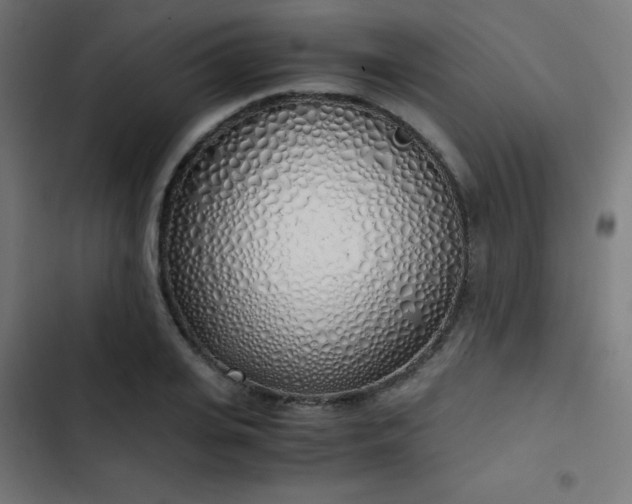 X0000103500935200809121735