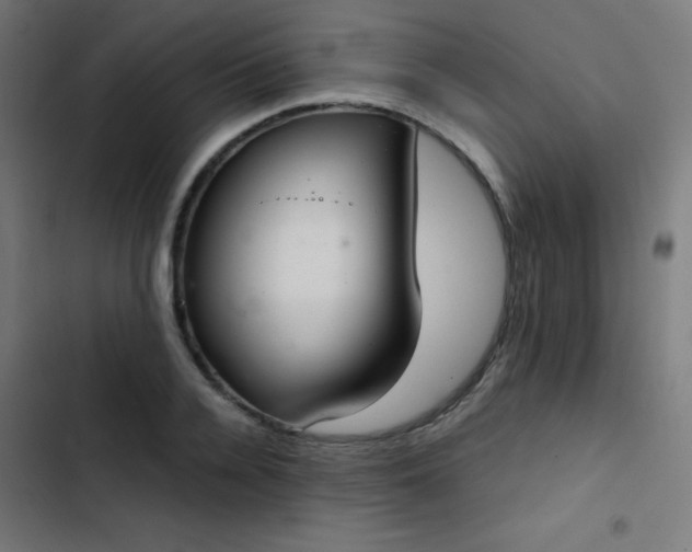 X0000103500936200809121735