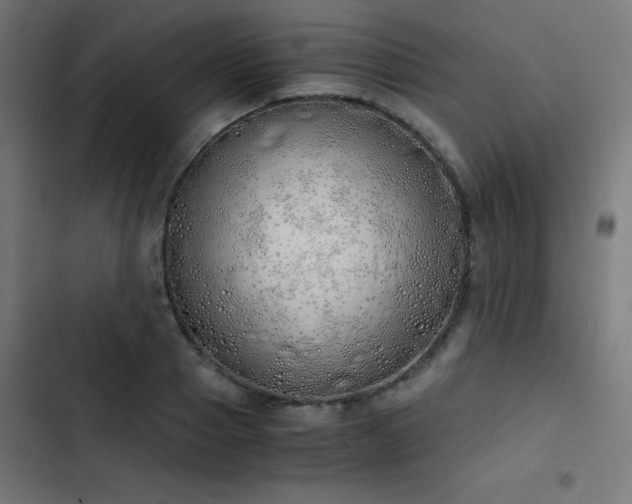 X0000103500937200809121735