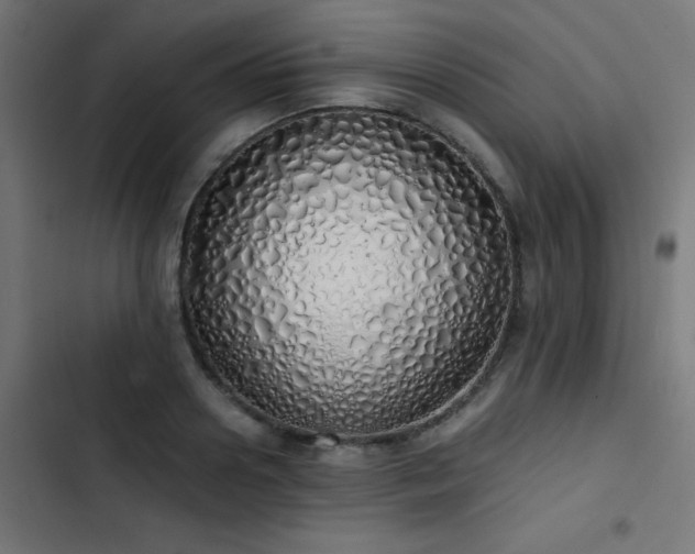 X0000103500938200809121735