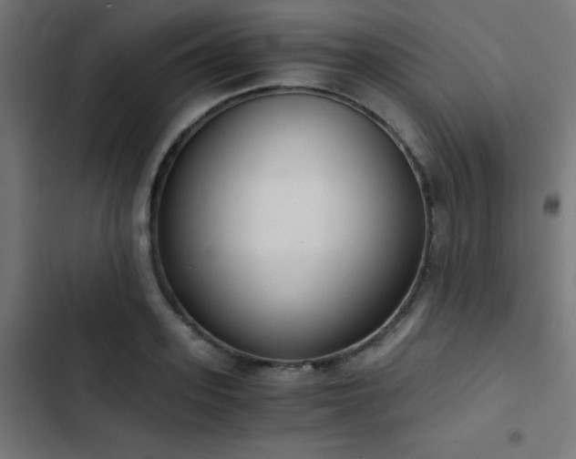 X0000103500939200809121735