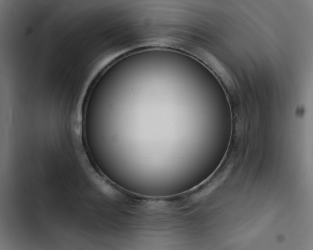 X0000103500940200809121735