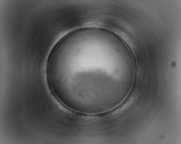 X0000103500941200809121735