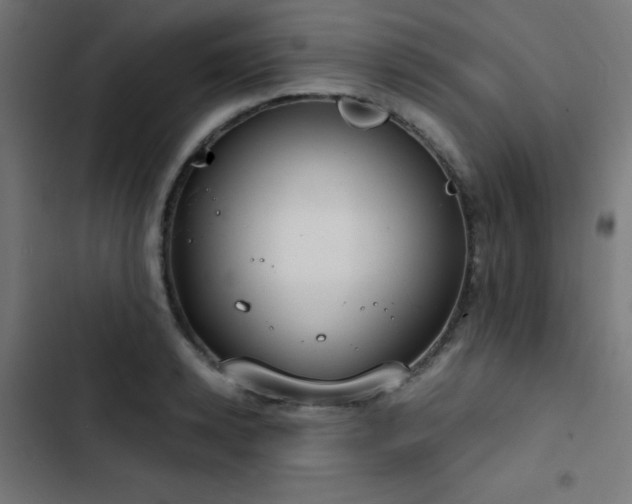 X0000103500942200809121735