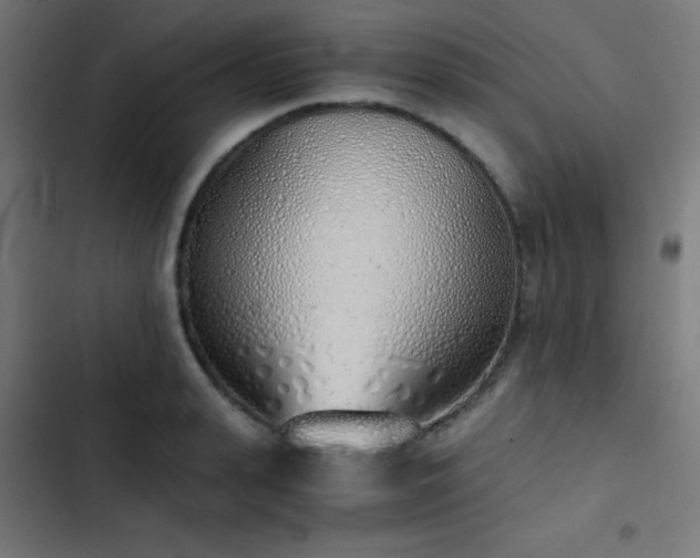 X0000103500943200809121735