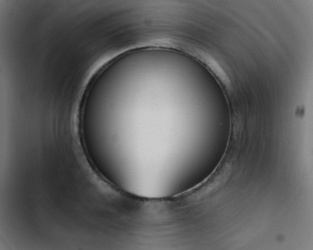 X0000103500944200809121735