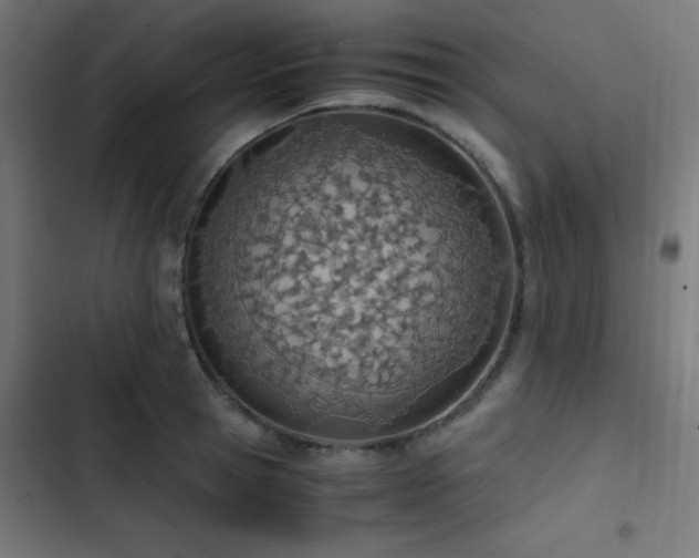 X0000103500945200809121735