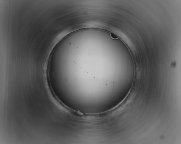 X0000103500946200809121735