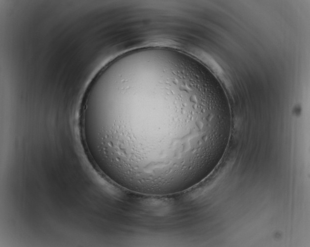 X0000103500947200809121735