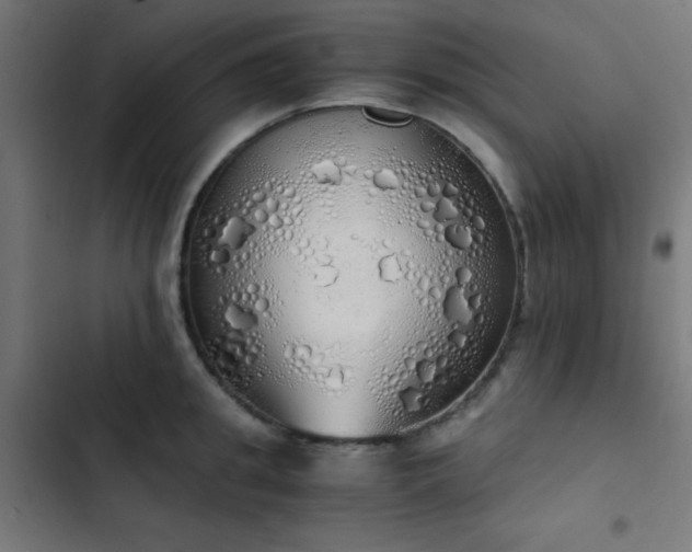 X0000103500949200809121735