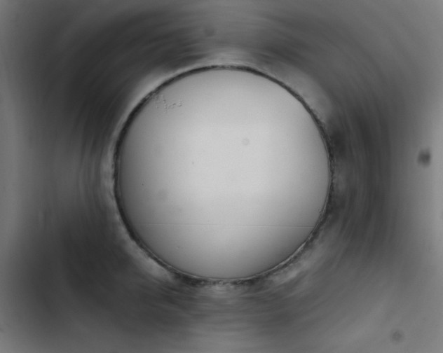 X0000103500950200809121735