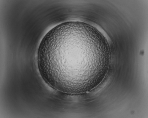 X0000103500951200809121735