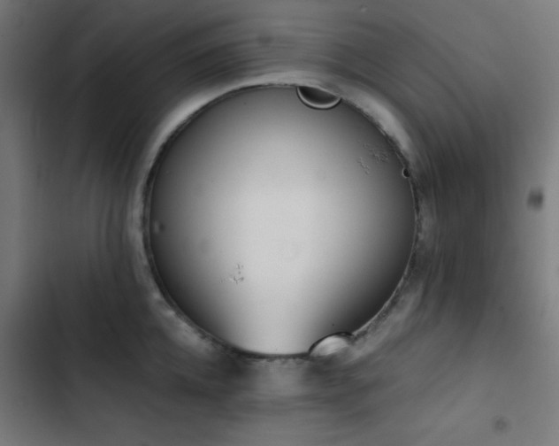 X0000103500952200809121735