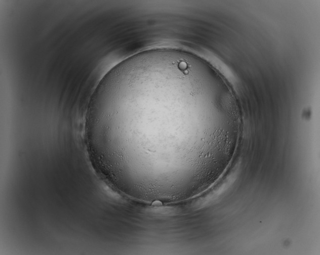 X0000103500953200809121735