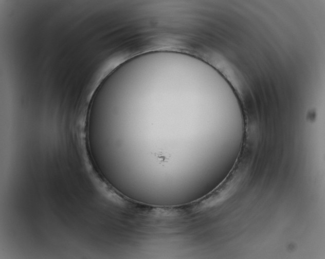 X0000103500954200809121735