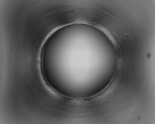 X0000103500955200809121735