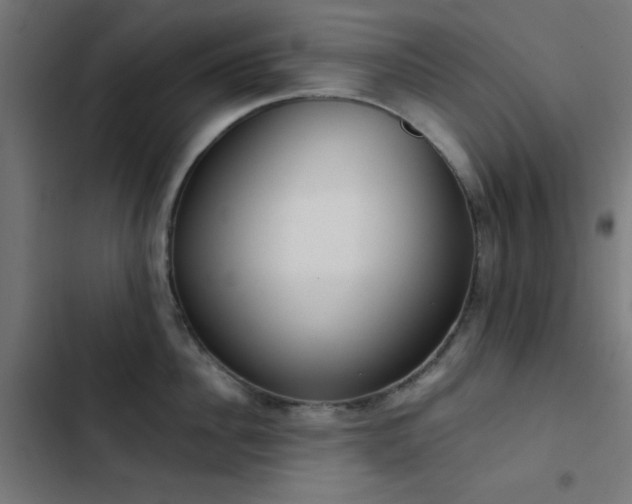 X0000103500956200809121735