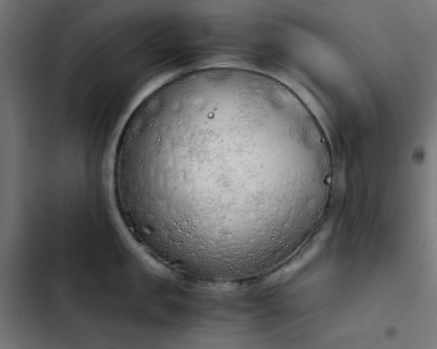 X0000103500957200809121735