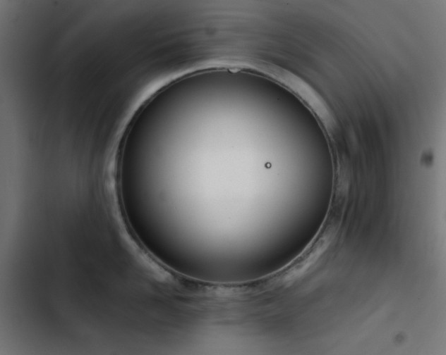 X0000103500958200809121735