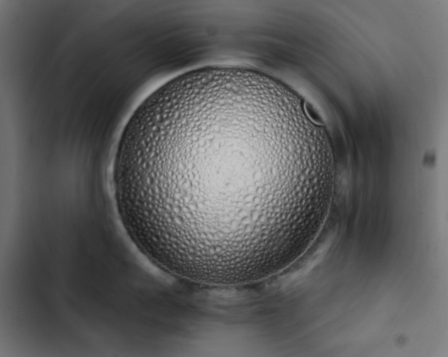 X0000103500959200809121735