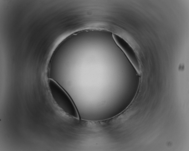 X0000103500960200809121735