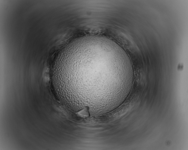 X0000103500962200809121735