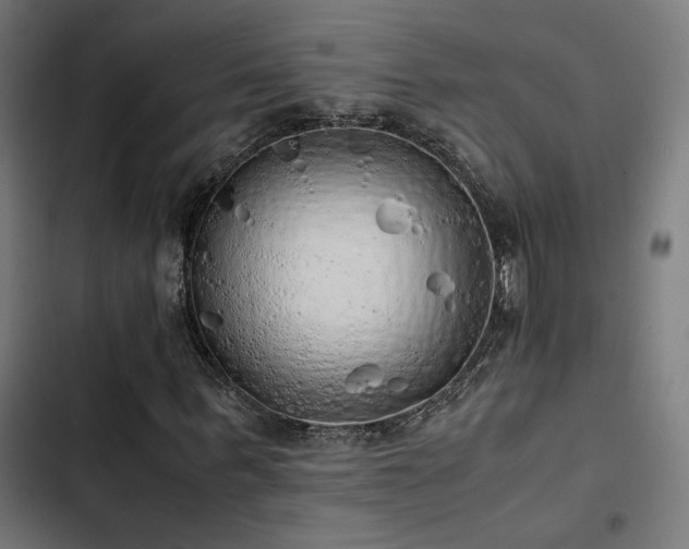 X0000103500963200809121735