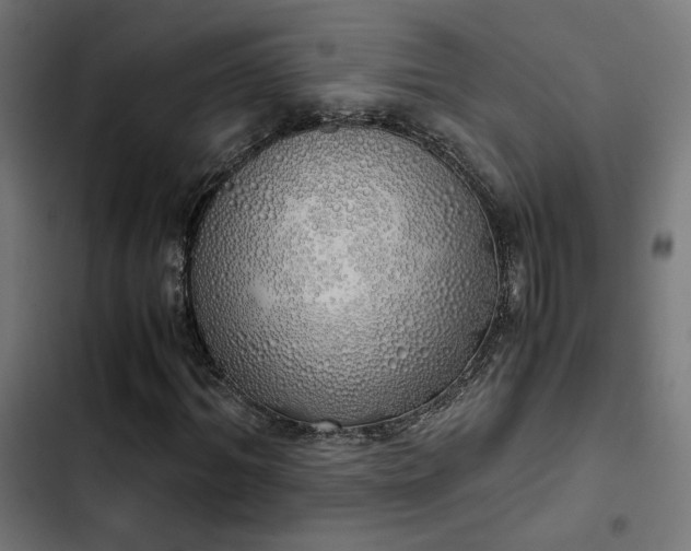 X0000103500964200809121735