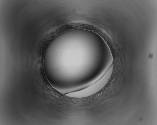 X0000103500965200809121735