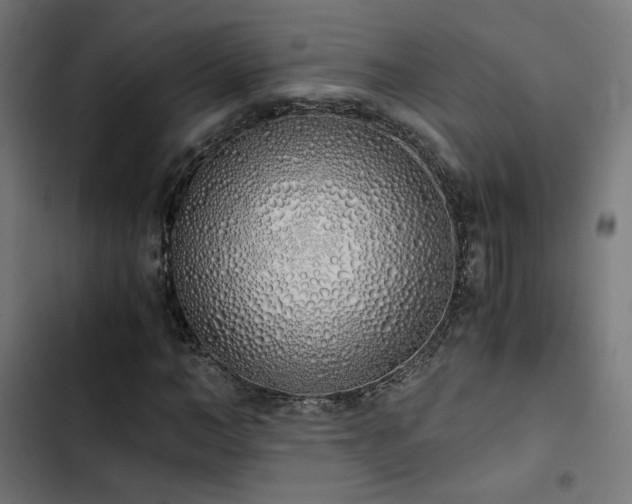 X0000103500966200809121735